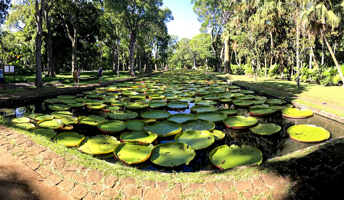 The North of Mauritius: where the island truly begins